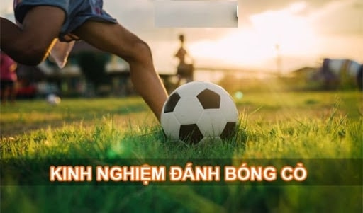 cách soi kèo bóng cỏ